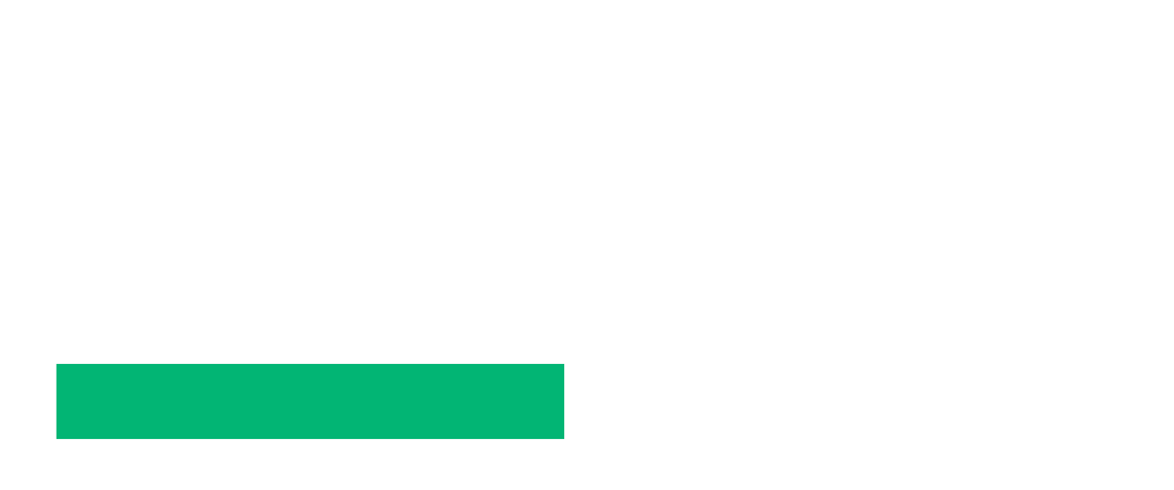 vfueloptimizer_logo